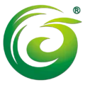 new era logo